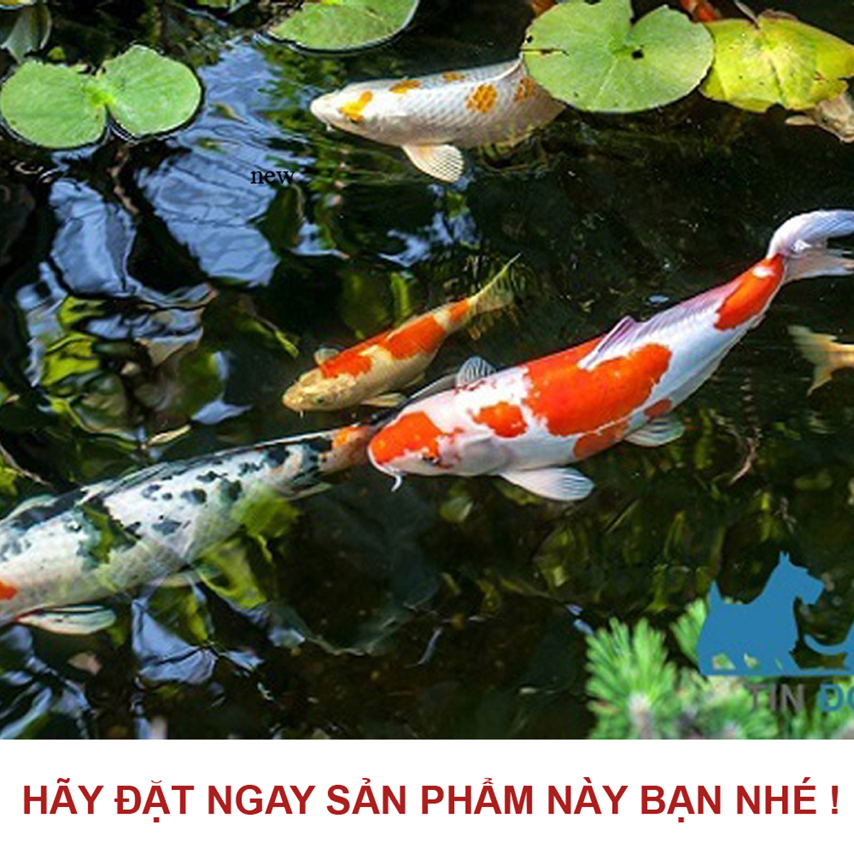 Máy bơm HA 10000 ( 60W - 10000L/H) lõi trục gốm, 9 nấc chỉnh nước dùng cho bể cá, hồ cá, hòn non bộ, sinh hoạt - Máy bơm chìm cao cấp