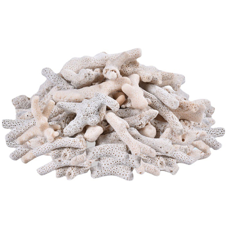 San Hô Vụn túi 1KG + 1 túi lưới đựng vật liệu lọc cho bể cá