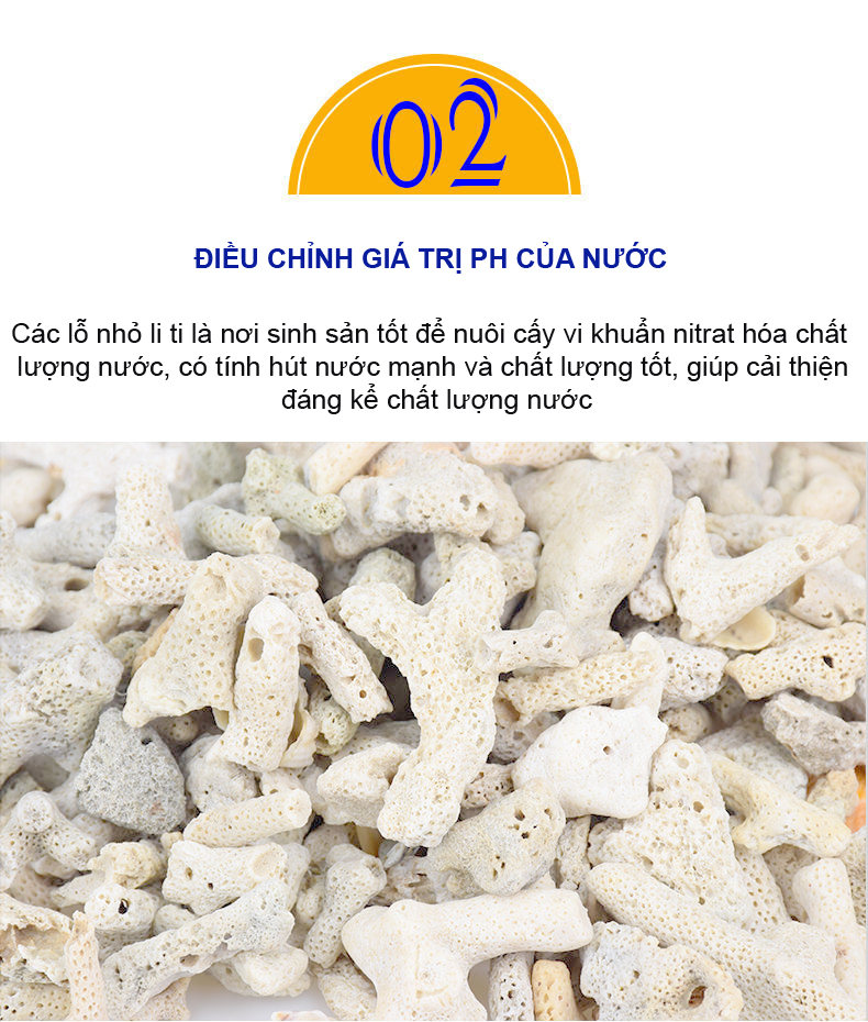 San Hô Vụn túi 1KG + 1 túi lưới đựng vật liệu lọc cho bể cá