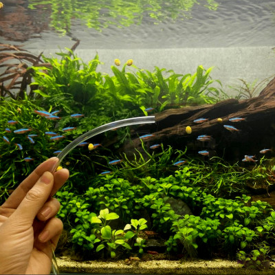 Dây Sủi Oxy, Dây Dẫn Khí CO2 Trong Suốt, Cho Hồ Cá Cảnh, Hồ Thủy Sinh dài 1m