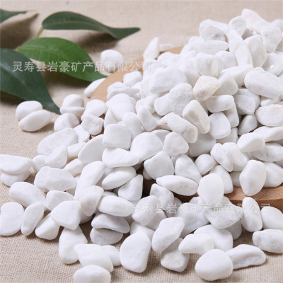 Sỏi trắng, đá trắng 1.2KG cao cấp, trang trí chậu cây, hồ cá, bể cá, tiểu cảnh, hòn non bộ thủy sinh, cây cảnh