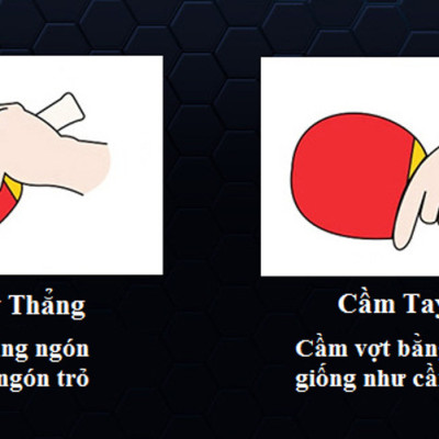 Bộ 2 Vợt Bóng Bàn Chính Hãng Amalife + Túi Đựng Vợt Bóng Bàn + 3 Bóng