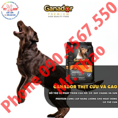 20KG Thức ăn cho chó trưởng thành Ganador vị thịt cừu & gạo - Ganador Adult Lamb & Rice - Thức ăn hạt cho Chó