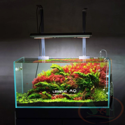 Đèn led LedStar AQ WRGB X series X60 quang phổ trồng cây bể thủy sinh cá tép