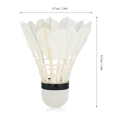 Hộp 6 cầu cầu lông AOLIKES S1006C