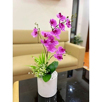 Bình lan hồ điệp giả - kèm chậu đầy đủ phụ kiện - Cây giả, hoa lụa Decor trang trí nhà cửa
