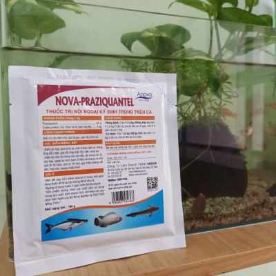 Thuốc Ngăn Ngừa Nội Ngoại Ký Sinh Trùng Trên Cá Nova – Praziquantel (Gói 100g)