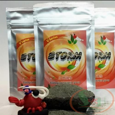 Vi sinh bột kích tảo VIN Storm Ecological Bacteria Group đánh rêu tảo tự nhiên bể cá tép