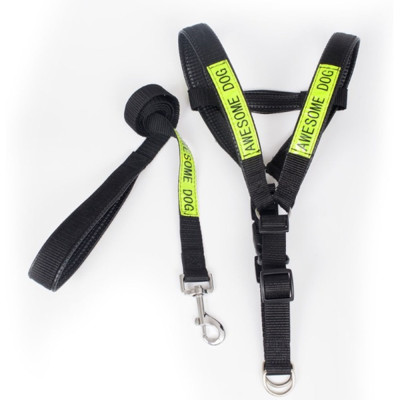 Bộ Dây Dắt Chó Kèm Yếm Ngực Phản Quang 3 Size