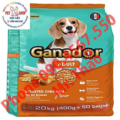 20KG Thức ăn cho chó trưởng thành Ganador vị gà nướng - Ganador Adult Roasted Chicken Flavor