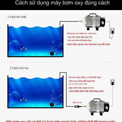 Máy sục sủi thổi khí oxy hồ bể cá cảnh 25W - 45L/P chất lượng cao,công suất mạnh, tiết kiệm điện