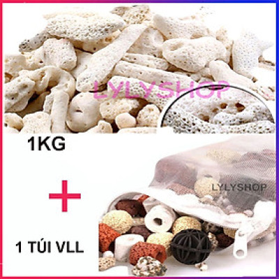 San Hô Vụn túi 1KG  + 1 túi lưới đựng vật liệu lọc cho bể cá