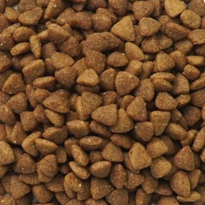 [1KG ] - Thức ăn hạt cho chó thơm ngon, bổ dưỡng TODAY