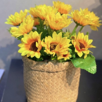 Hoa hướng dương, bình hoa cắm sẵn và chậu hàng rào hoa giả trang trí