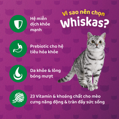 Thức Ăn Cho Mèo Whiskas Adult 1+ Years Vị Cá Ngừ 3kg/Túi