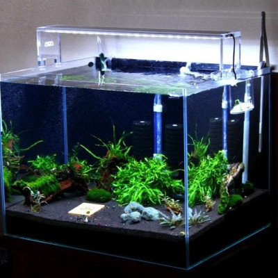 Máy lọc nước bể cá Vipsun Fish AP  303H - 5W 300l/h- Lọc thác, có lọc váng, hoạt động êm ái, Dùng cho hồ 40cm trở xuống.