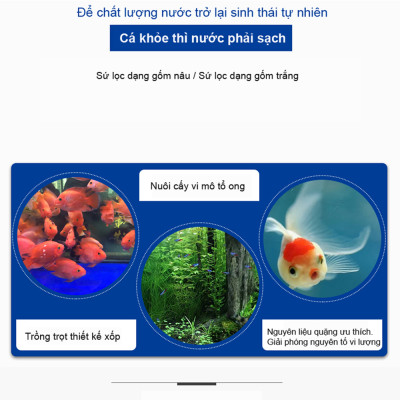 Sứ Lọc Nước Hồ Cá Cải Thiện Bổ Sung Khoáng Chất Và Duy Trì Chất Lượng Nước Tốt