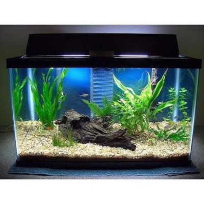 Sỏi Suối 3 Màu (1.2KG, size bé ) - Trang Trí Bể Cá, Thủy Sinh, Tiểu Cảnh, Lọc Nước Hiệu Quả