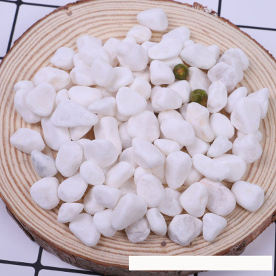 Sỏi trắng, đá trắng 1.2KG cao cấp, trang trí chậu cây, hồ cá, bể cá, tiểu cảnh, hòn non bộ thủy sinh, cây cảnh