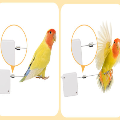 1 dây dắt vẹt cao cấp nhập khẩu DD01 dùng cho các dòng vẹt nhỏ và trung kèm vòng chân