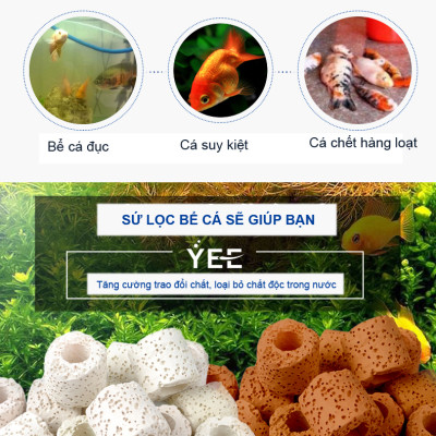 Sứ Lọc Nước Hồ Cá Cải Thiện Bổ Sung Khoáng Chất Và Duy Trì Chất Lượng Nước Tốt