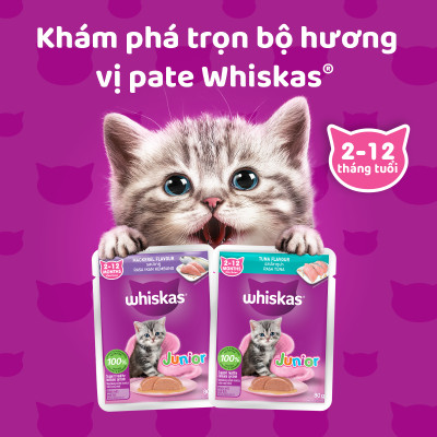 [Combo 12 Gói] Thức Ăn Cho Mèo Con WHISKAS Junior 2-12 months Vị Cá Thu 80g/Gói