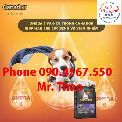 20KG Thức ăn cho chó con Ganador vị Sữa và DHA - Ganador Puppy milk with DHA - Thức ăn hạt cho chó con