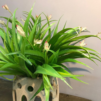 Cụm lá lan giả trang trí- Cụm lá điểm - Cỏ điểm trang trí cao cấp