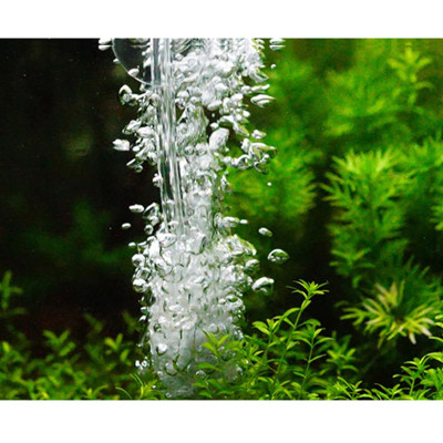 4M Dây Sủi Oxy | Dây Dẫn Khí CO2 Trong Suốt, Cho Hồ Cá Cảnh, Hồ Thủy Sinh Cao Cấp