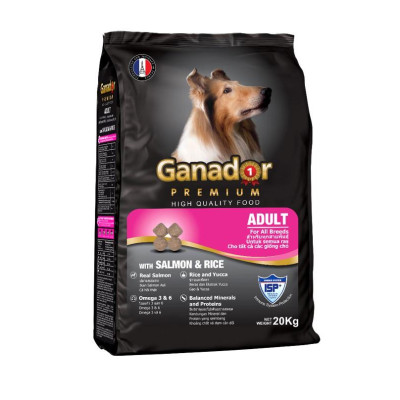 Webcam máy tính có micro full hd 1080p full box siêu nét dùng cho pc laptop