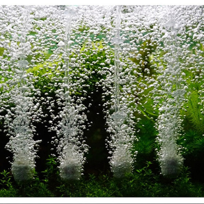 4M Dây Sủi Oxy | Dây Dẫn Khí CO2 Trong Suốt, Cho Hồ Cá Cảnh, Hồ Thủy Sinh Cao Cấp