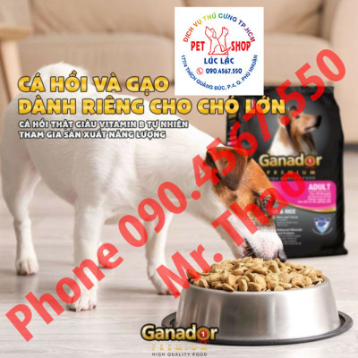 20KG Thức Ăn Hạt Chó Lớn Ganador Roasted Beef Flavor - Vị Bò Nướng - Thức ăn hạt cho Chó