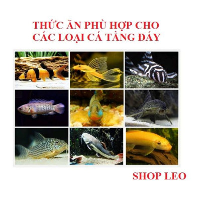 Thức ăn Pleco Hikari - Thức ăn chuyên dụng cho cá tầng đáy - Pleco - Cá săn mồi - Cám Hikari - cám Nhật - shopleo
