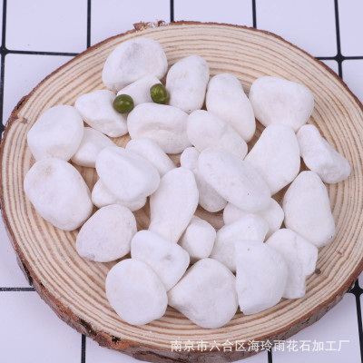 Sỏi trắng, đá trắng 1.2KG cao cấp, trang trí chậu cây, hồ cá, bể cá, tiểu cảnh, hòn non bộ thủy sinh, cây cảnh