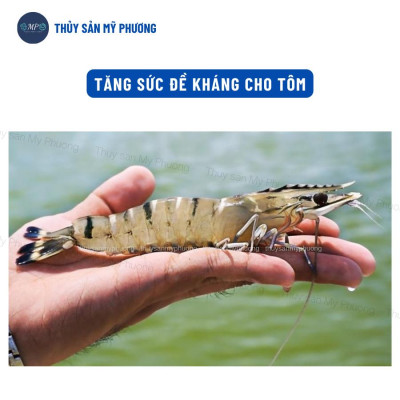 Thảo dược giải độc gan Bogama tăng cường phục hồi chức năng phòng ngừa gan thận tăng trọng tôm thẻ cá lươn ếch ốc ba ba