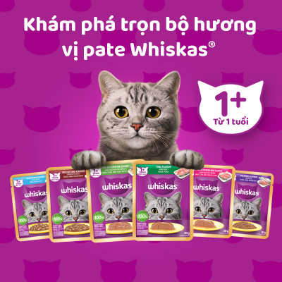 [Combo 12 Gói] Thức Ăn Cho Mèo WHISKAS 1+ years Vị Cá Thu 80g/Gói