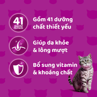 [Combo 12 Gói] Thức Ăn Cho Mèo WHISKAS 1+ years Vị Cá Thu 80g/Gói