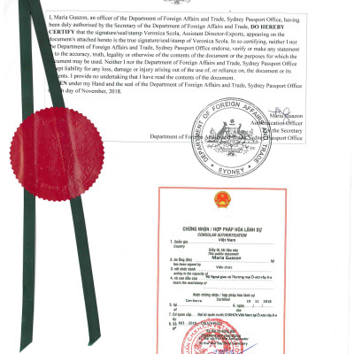 [Một Miếng] Kính Áp Tròng Australia Cận Thị Không Màu Mediclear 3 Tháng