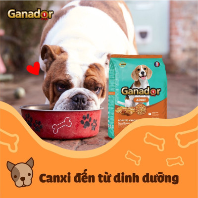 10KG Thức ăn cho chó trưởng thành Ganador vị gà nướng Adult Roasted Chicken Flavor