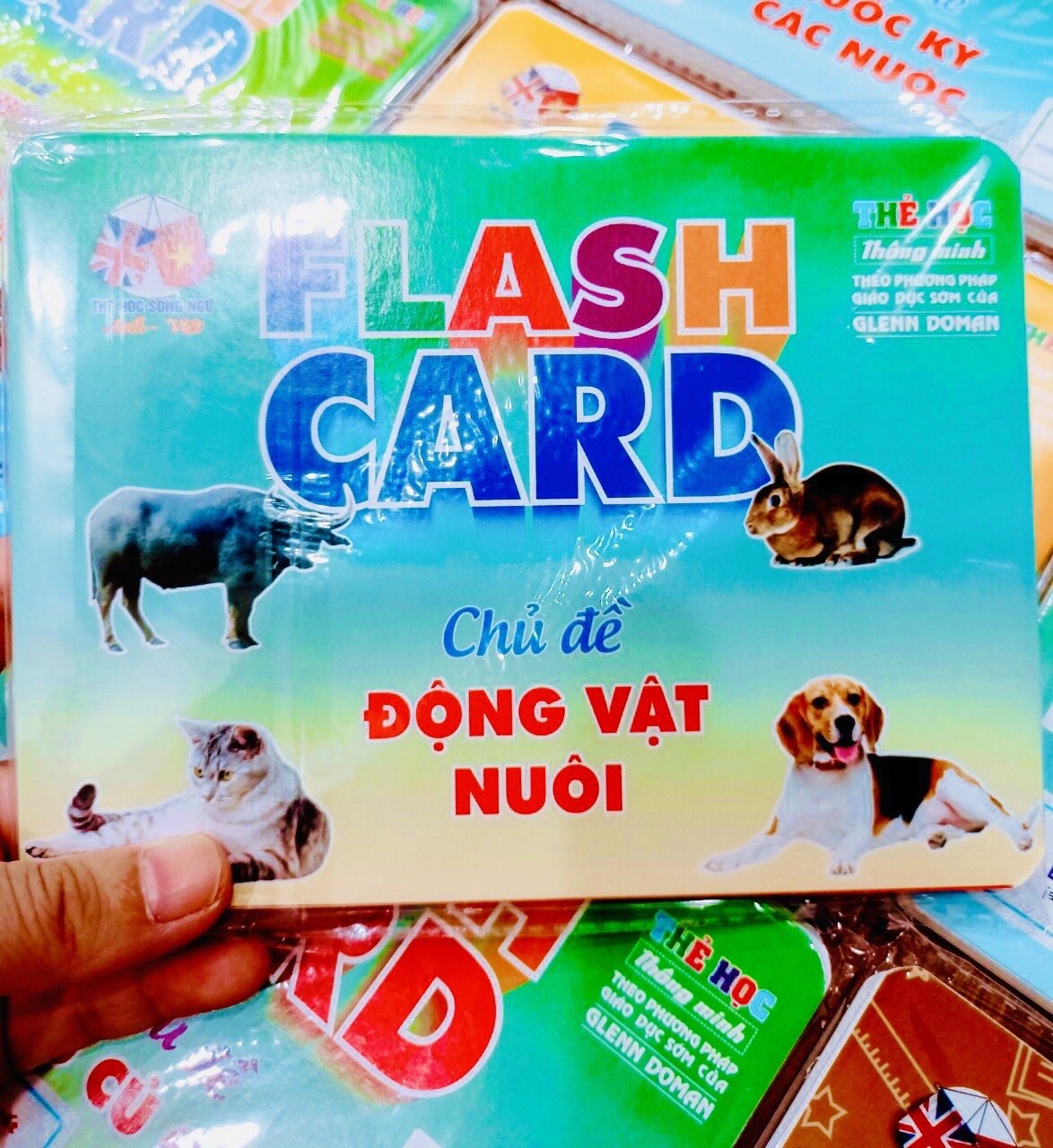 Flash card A5 Khổ B- Thẻ học Thông Minh 18 chủ đề cho bé (Song ngữ Việt Anh)