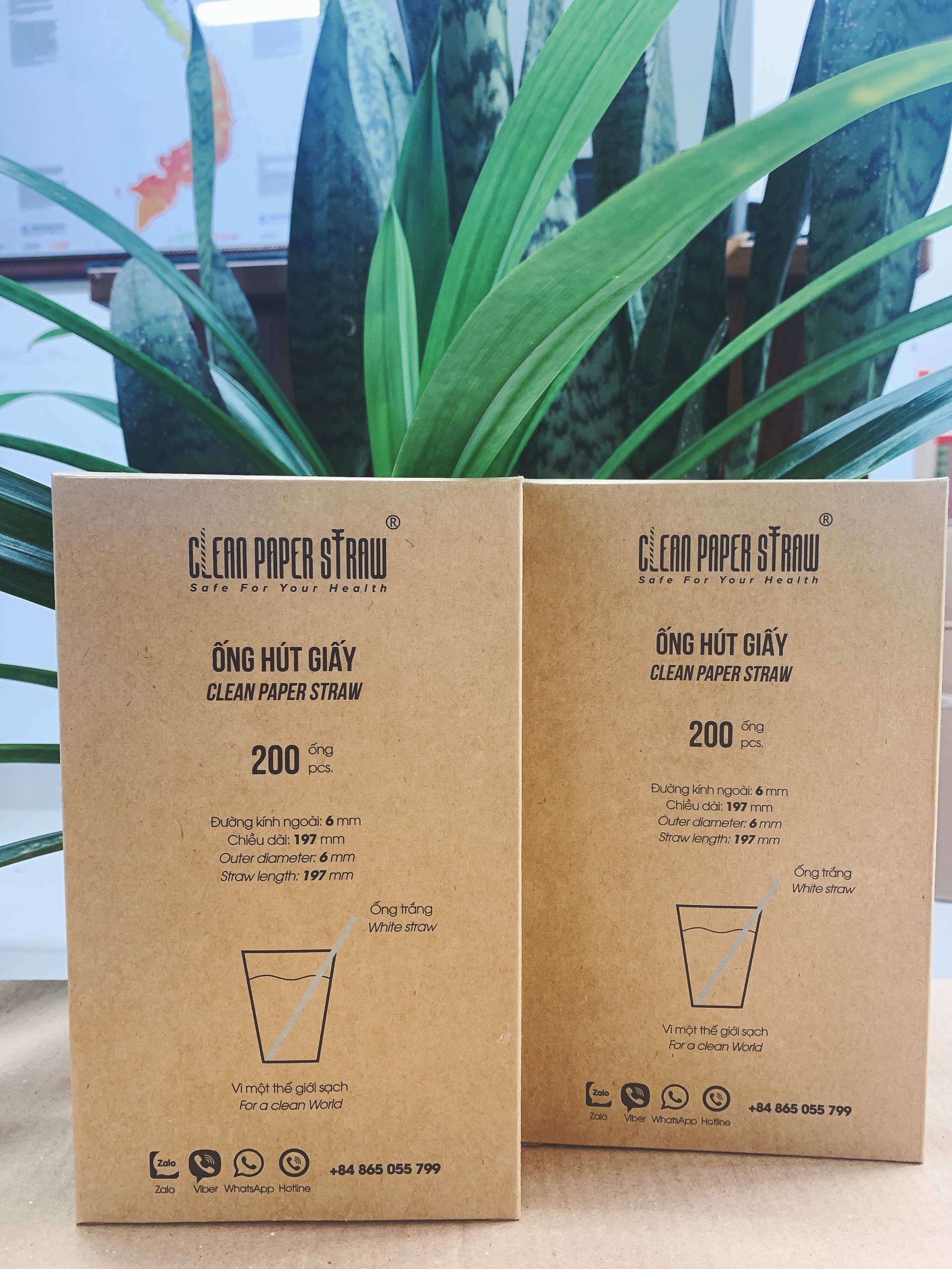 hộp 200 ống hút giấy cao cấp _ Clean Paper Straw màu trắng kích thước 6mm x 197mm dùng cho cà phê, nước ép....