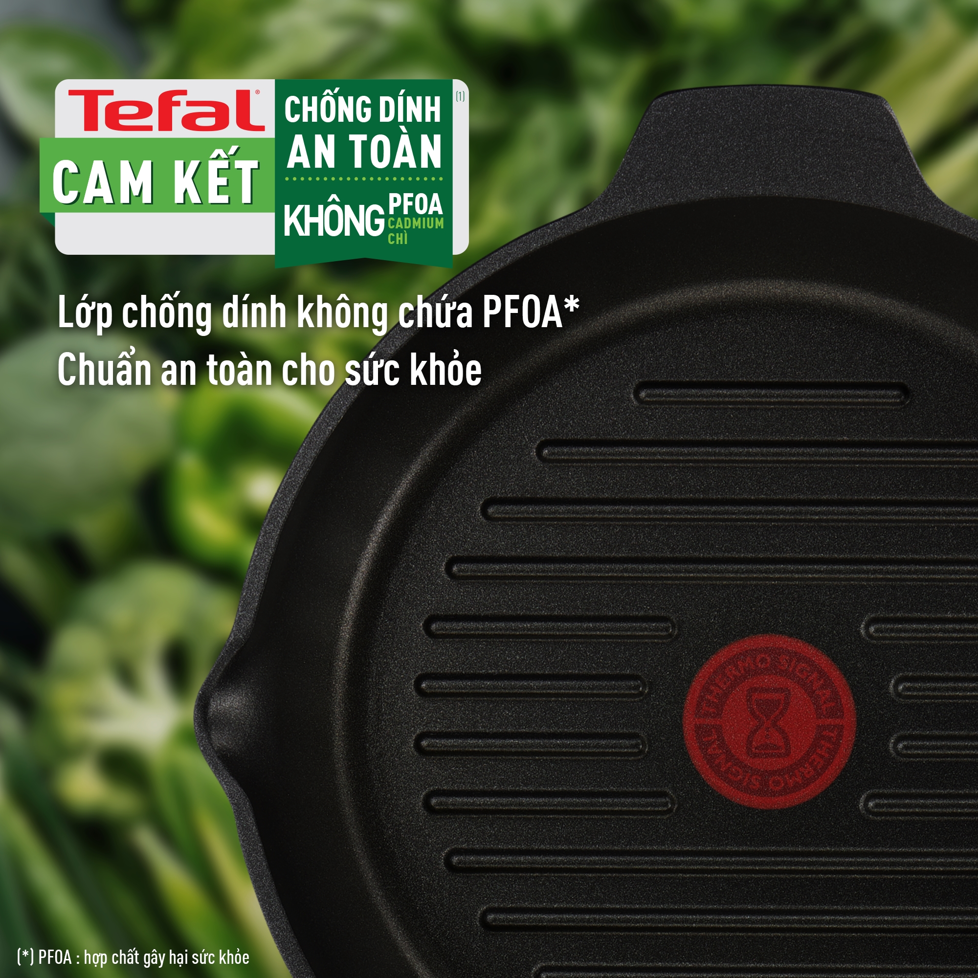Chảo đúc cao cấp nướng, chiên Tefal Robusto có miệng rót 26cm