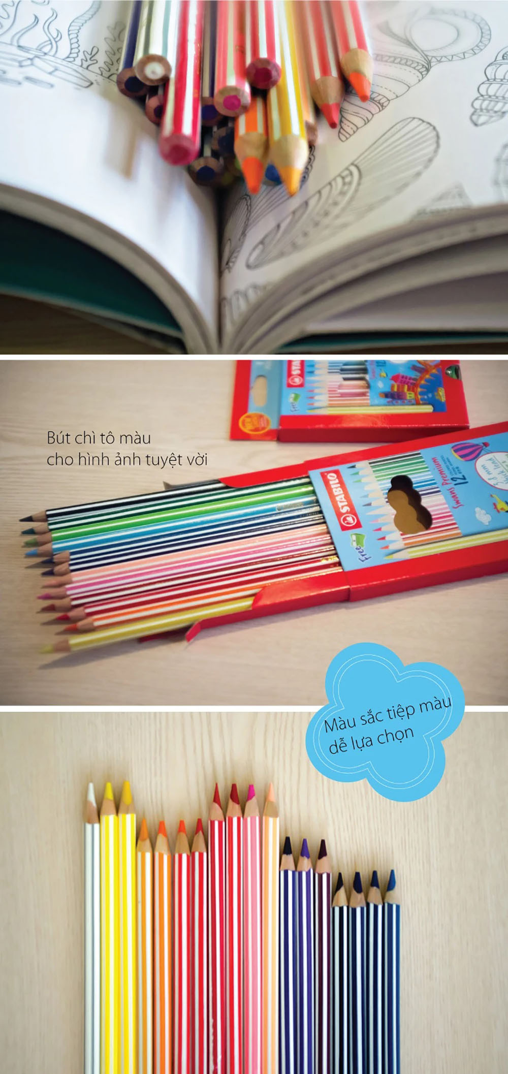 Bộ bút chì màu Swans 12 màu - Bộ 2 hộp 12 cây dài (CLP1867L-C2)
