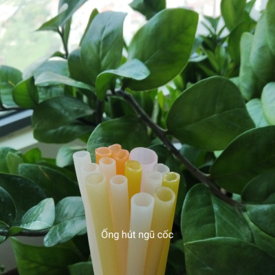 Ống hút gạo ăn được ống hút gạo thân thiện với môi trường 100 ống/ gói