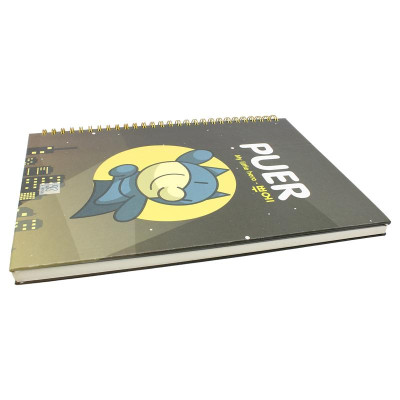 Sổ Lò Xo Bìa Cứng Cao Cấp - K Diary B5 80 Trang - Oxford DF01B5