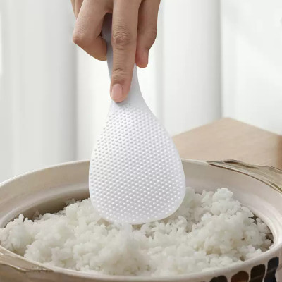 Combo 1 Ống cắm đũa thìa 2 ngăn có núm hít chân không + 1 Muôi xới cơm hàng nội địa Nhật Bản