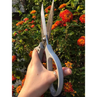 Kéo làm bếp đa năng hàng nội địa Nhật Bản cao cấp, Kéo cắt gà, Cắt các loại thịt