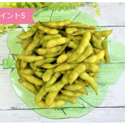 Đĩa nhựa pha lê hình lá bồ đề Yamada thích hợp cho bữa ăn gia đình, nhà hàng - nội địa Nhật Bản