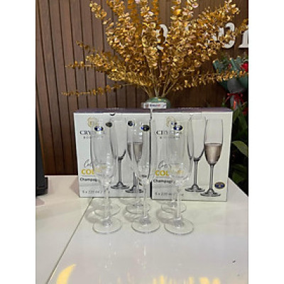 Bộ 6 ly uống sâm panh pha lê Colibri Bohemia dung tích 220ml