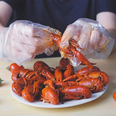 Găng tay chế biến thực phẩm dạng nilong hộp 200 cái, bao tay thực phẩm dùng nấu ăn sử dụng 1 lần